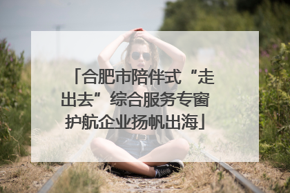 合肥市陪伴式“走出去”综合服务专窗护航企业扬帆出海