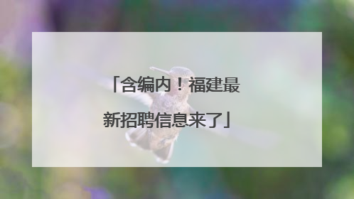 含编内！福建最新招聘信息来了