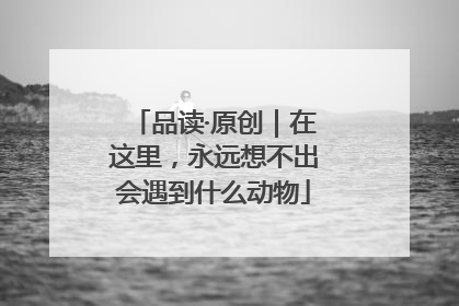 品读·原创｜在这里，永远想不出会遇到什么动物