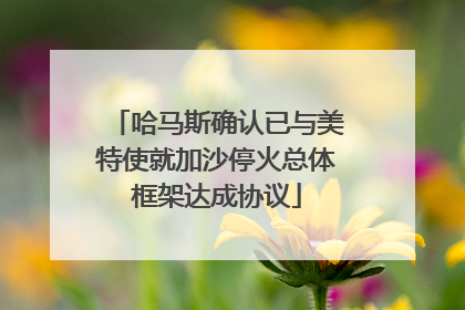 哈马斯确认已与美特使就加沙停火总体框架达成协议