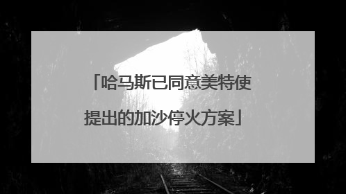 哈马斯已同意美特使提出的加沙停火方案