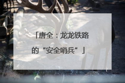 唐全：龙龙铁路的“安全哨兵”