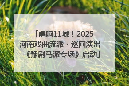 唱响11城！2025河南戏曲流派・巡回演出《豫剧马派专场》启动