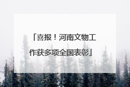 喜报！河南文物工作获多项全国表彰