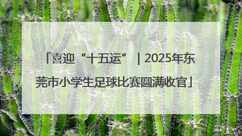 喜迎“十五运”｜2025年东莞市小学生足球比赛圆满收官