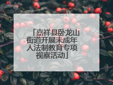 嘉祥县卧龙山街道开展未成年人法制教育专项视察活动