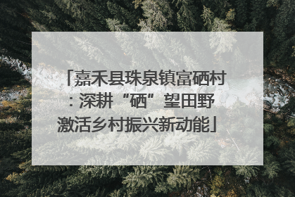 嘉禾县珠泉镇富硒村：深耕“硒”望田野 激活乡村振兴新动能