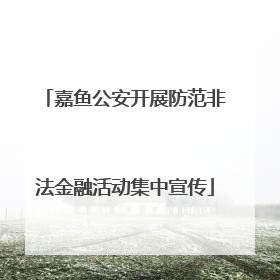嘉鱼公安开展防范非法金融活动集中宣传