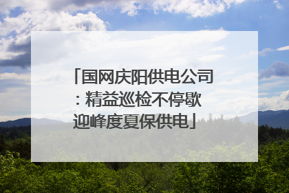 国网庆阳供电公司：精益巡检不停歇 迎峰度夏保供电