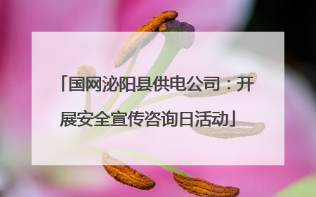 国网泌阳县供电公司：开展安全宣传咨询日活动
