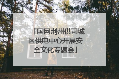 国网荆州供司城区供电中心开展安全文化专题会