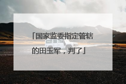 国家监委指定管辖的田玉军，判了