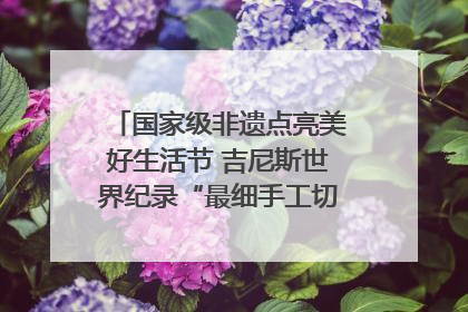 国家级非遗点亮美好生活节 吉尼斯世界纪录“最细手工切面”邀您来品！｜美好生活有“盐”味