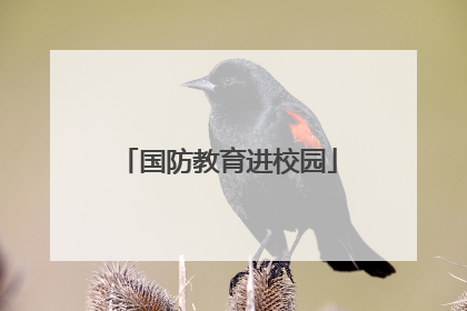 国防教育进校园