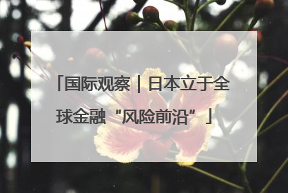 国际观察｜日本立于全球金融“风险前沿”
