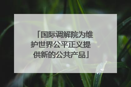 国际调解院为维护世界公平正义提供新的公共产品