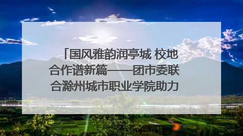 国风雅韵润亭城 校地合作谱新篇——团市委联合滁州城市职业学院助力传统文化“破圈”绽放