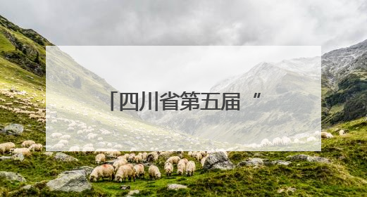 四川省第五届“贡嘎杯”男子排球（初中组）总决赛开赛 自贡这支队伍打进半决赛