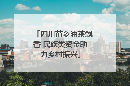 四川苗乡油茶飘香 民族类资金助力乡村振兴