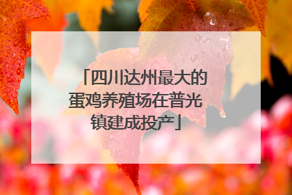 四川达州最大的蛋鸡养殖场在普光镇建成投产