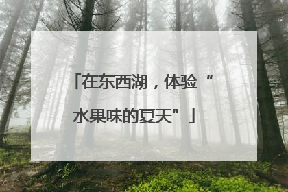 在东西湖，体验“水果味的夏天”