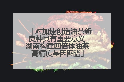 对加速创造油茶新良种具有重要意义 湖南构建四倍体油茶高精度基因图谱