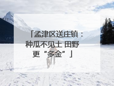 孟津区送庄镇：种瓜不见土 田野更“多金”