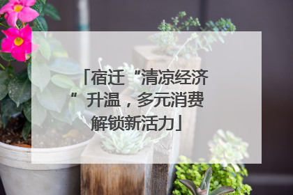 宿迁“清凉经济”升温，多元消费解锁新活力