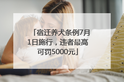 宿迁养犬条例7月1日施行，违者最高可罚5000元