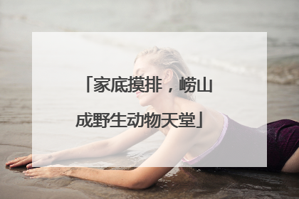 家底摸排，崂山成野生动物天堂