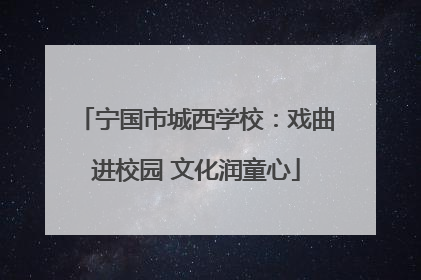 宁国市城西学校：戏曲进校园 文化润童心