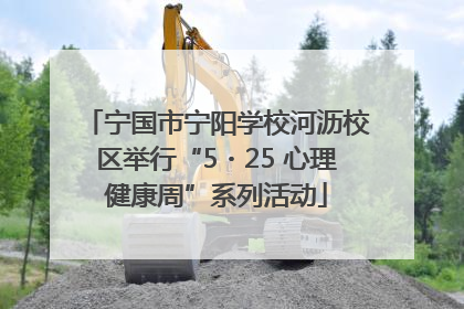 宁国市宁阳学校河沥校区举行“5・25 心理健康周”系列活动