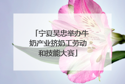 宁夏吴忠举办牛奶产业挤奶工劳动和技能大赛
