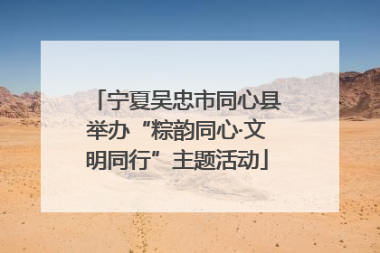 宁夏吴忠市同心县举办“粽韵同心·文明同行”主题活动