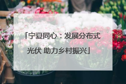 宁夏同心：发展分布式光伏 助力乡村振兴