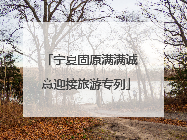 宁夏固原满满诚意迎接旅游专列