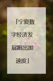 宁夏数字经济发展跑出加速度