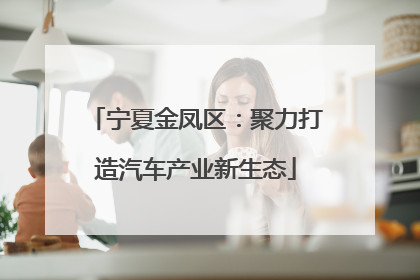 宁夏金凤区：聚力打造汽车产业新生态