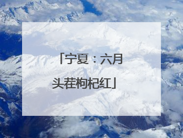 宁夏：六月头茬枸杞红