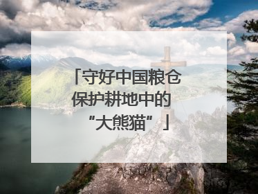 守好中国粮仓 保护耕地中的“大熊猫”