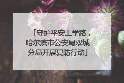 守护平安上学路，哈尔滨市公安局双城分局开展夏防行动