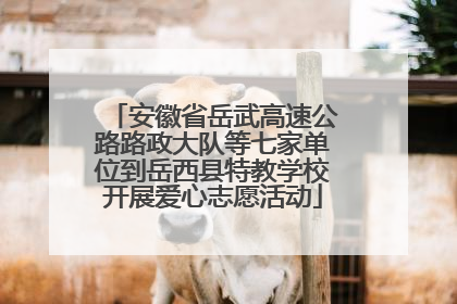 安徽省岳武高速公路路政大队等七家单位到岳西县特教学校开展爱心志愿活动