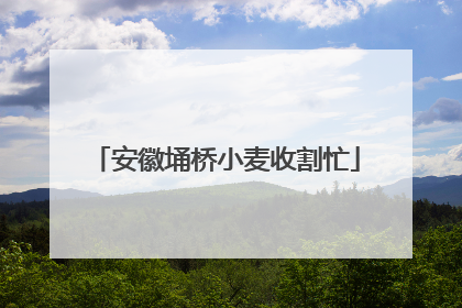 安徽埇桥小麦收割忙