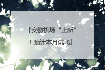 安徽机场“上新”！预计本月试飞