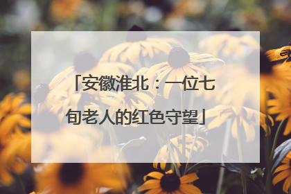 安徽淮北：一位七旬老人的红色守望