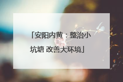 安阳内黄：整治小坑塘 改善大环境