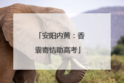 安阳内黄：香囊寄情助高考