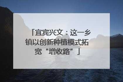 宜宾兴文：这一乡镇以创新种植模式拓宽“增收路”