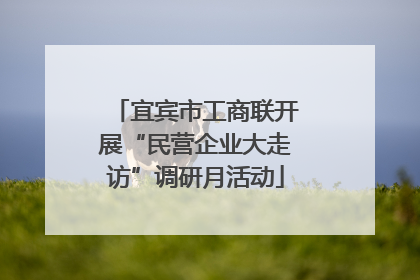 宜宾市工商联开展“民营企业大走访”调研月活动