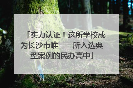 实力认证！这所学校成为长沙市唯一一所入选典型案例的民办高中